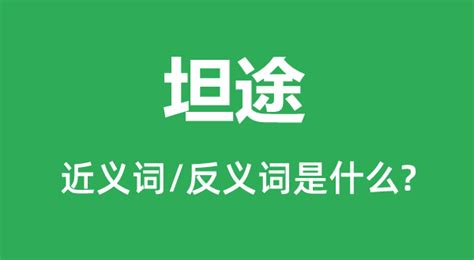 坦途意思|坦途 的 英语 Translation 